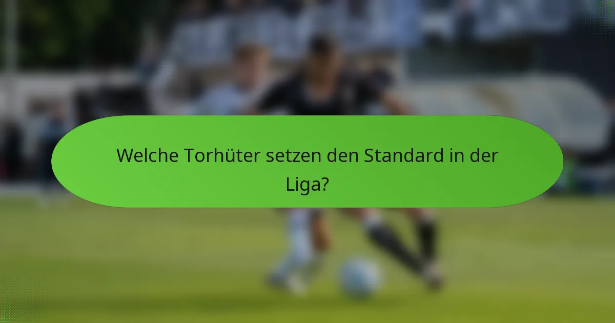Welche Torhüter setzen den Standard in der Liga?