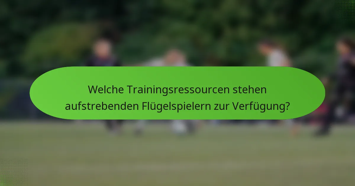 Welche Trainingsressourcen stehen aufstrebenden Flügelspielern zur Verfügung?