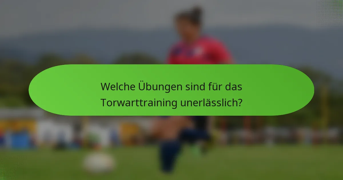 Welche Übungen sind für das Torwarttraining unerlässlich?