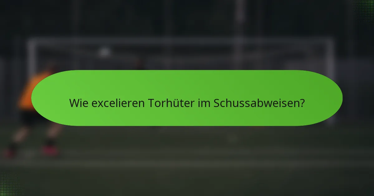 Wie excelieren Torhüter im Schussabweisen?
